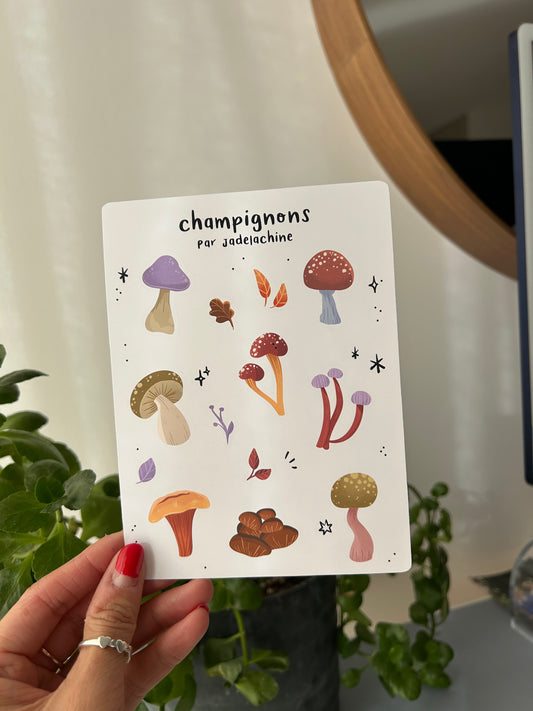 Sticker - feuille - CHAMPIGNONS